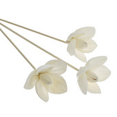 Отваряне на цветя Без огън Ароматерапия Ратан Направи си сам Ръчно изработени сушени цветя Дифузор от тръстика Пръчици Декорация на дома Орнамент