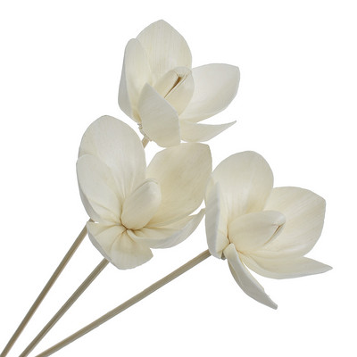 Отваряне на цветя Без огън Ароматерапия Ратан Направи си сам Ръчно изработени сушени цветя Дифузор от тръстика Пръчици Декорация на дома Орнамент