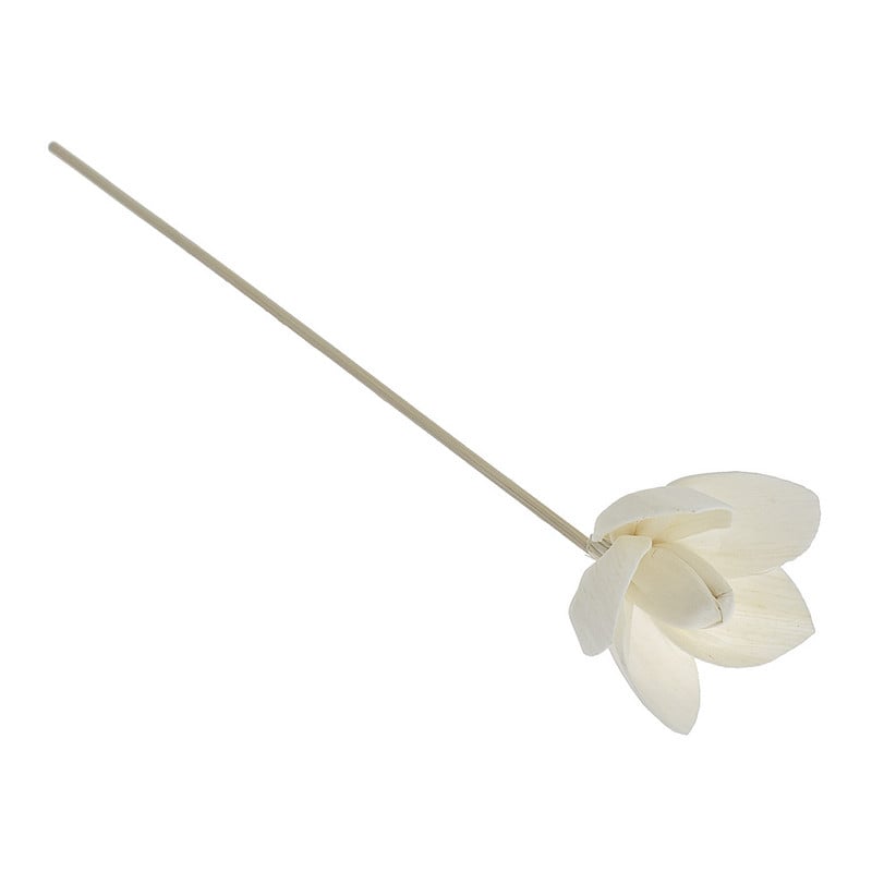 Отваряне на цветя Без огън Ароматерапия Ратан Направи си сам Ръчно изработени сушени цветя Дифузор от тръстика Пръчици Декорация на дома Орнамент