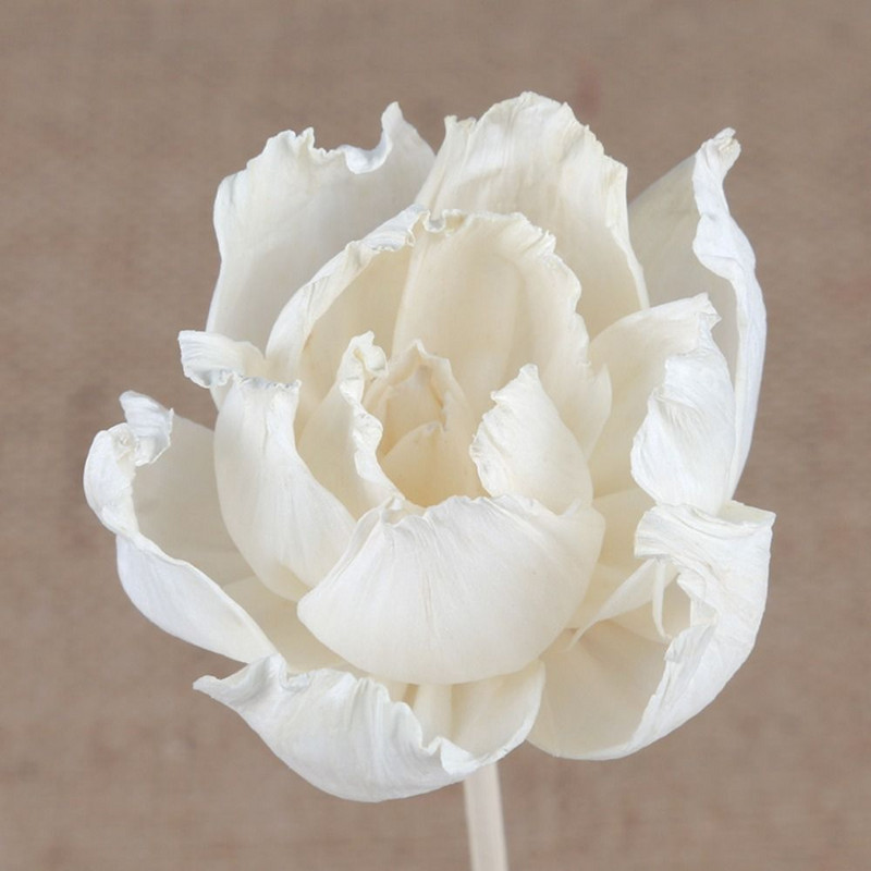 5 cm bijūnų Tongcaohua sausų gėlių beliepės aromaterapijos garinimo priedai Kvepiančių gėlių difuzoriaus lazdelės namams