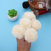 5gab difuzora kociņi rotangpalmas ziedu rožu nomaiņai uzpildāmi rotangpalmas spieķi ēterisko eļļu difuzoram bēšs