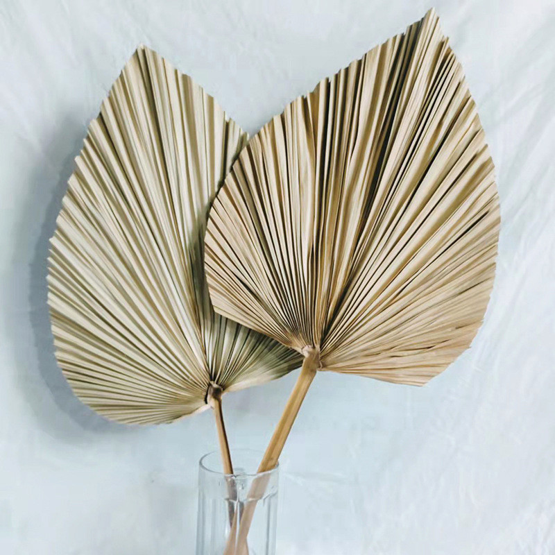 Dabīgas palmu lapas Ar rokām austs salmu ventilators ķīniešu stila roku ventilators vasaras dzesēšanas rokas kratīšanas ventilators amatniecība Mājas lauku mājas kāzu dekors