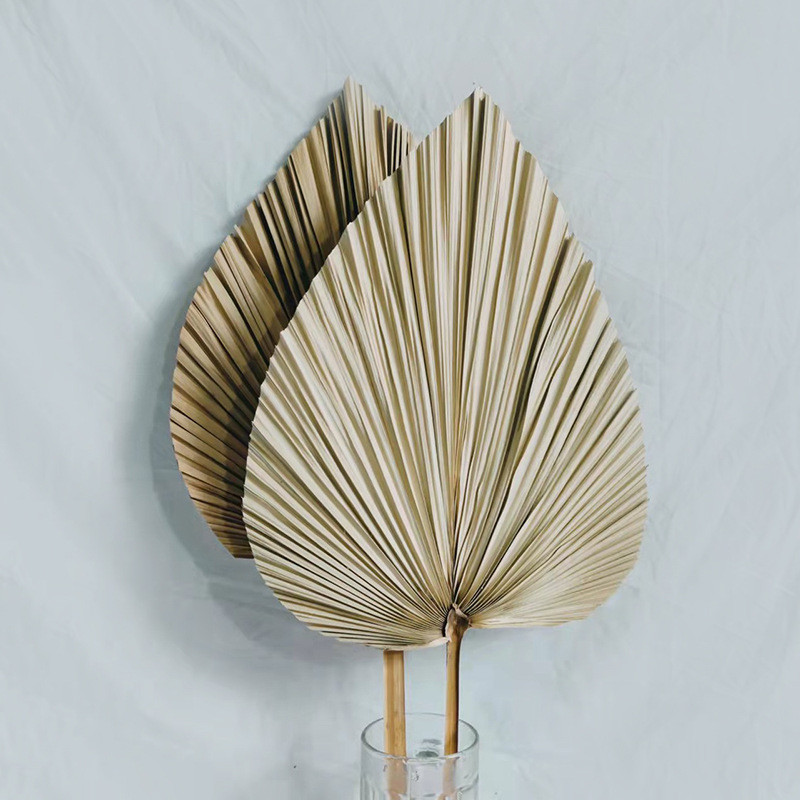 Dabīgas palmu lapas Ar rokām austs salmu ventilators ķīniešu stila roku ventilators vasaras dzesēšanas rokas kratīšanas ventilators amatniecība Mājas lauku mājas kāzu dekors
