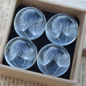 Prirodni osušeni cvijet, maslačak, staklena kugla, privjesak, prozirni šarm, trendi kristalna sretna ogrlica, darovi