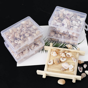 1 кутия Pattern Nature Beach Fashion Shells Sea Shells For DIY Caft Decor Jewellery Craft Accessories Holes Shell Charm Nail Shell