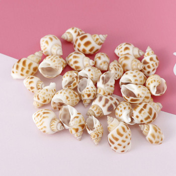 1 Box Pattern Nature Beach Fashion Κοχύλια Θαλασσινά κοχύλια για DIY Decor Caft Κοσμήματα Αξεσουάρ χειροτεχνίας Τρύπες Shell Charm Nail Shell