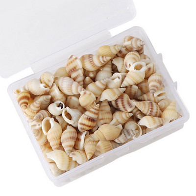 1 cutie model natura plajă moda scoici scoici de mare pentru bricolaj caft decor bijuterii artizanat accesorii găuri shell charm unghii shell