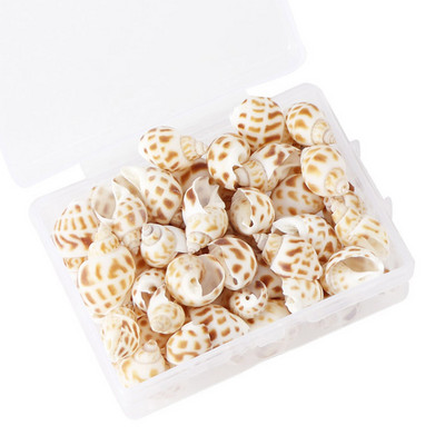 1 кутия Pattern Nature Beach Fashion Shells Sea Shells For DIY Caft Decor Jewellery Craft Accessories Holes Shell Charm Nail Shell