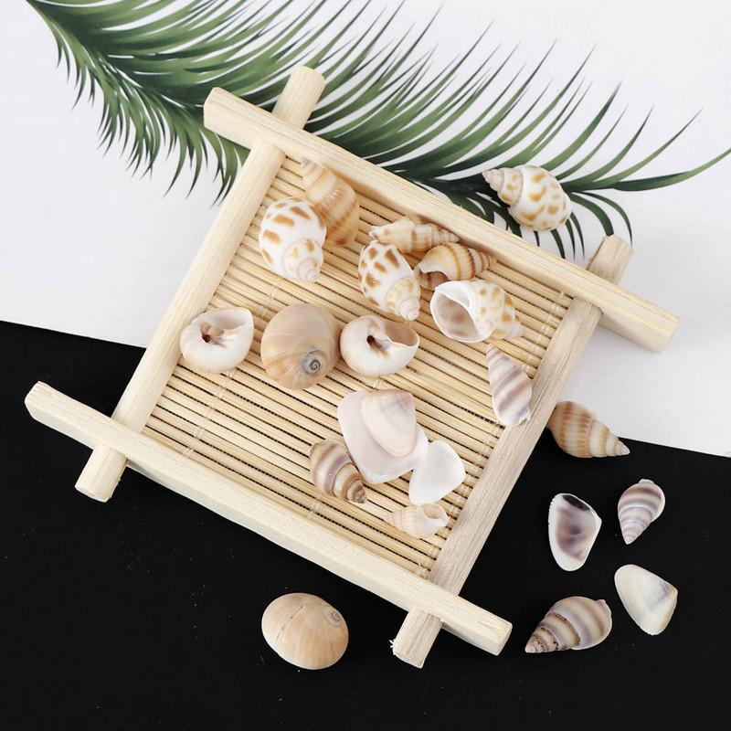 1 кутия Pattern Nature Beach Fashion Shells Sea Shells For DIY Caft Decor Jewellery Craft Accessories Holes Shell Charm Nail Shell