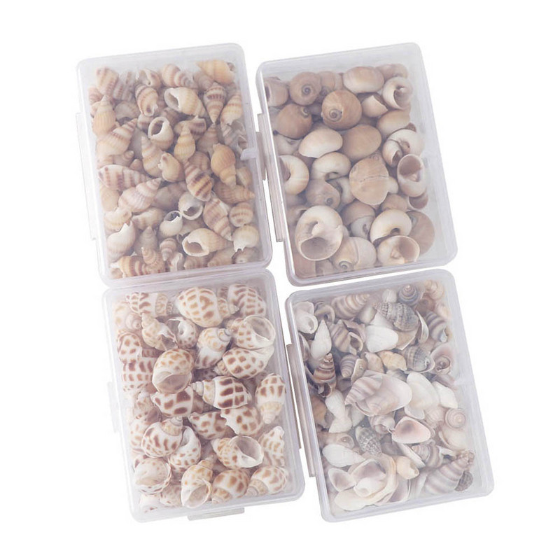 1 кутия Pattern Nature Beach Fashion Shells Sea Shells For DIY Caft Decor Jewellery Craft Accessories Holes Shell Charm Nail Shell