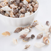 Горещи разпродажби естествени мъниста с форма на малка раковина, мъниста с черупки, дистанционни мъниста за изработка на бижута Направи си сам модни колиета, гривни, аксесоари