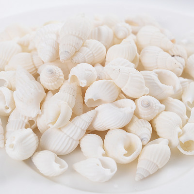 Горещи разпродажби естествени мъниста с форма на малка раковина, мъниста с черупки, дистанционни мъниста за изработка на бижута Направи си сам модни колиета, гривни, аксесоари