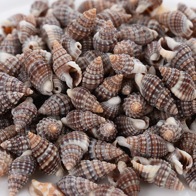 Горещи разпродажби естествени мъниста с форма на малка раковина, мъниста с черупки, дистанционни мъниста за изработка на бижута Направи си сам модни колиета, гривни, аксесоари