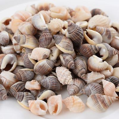 Горещи разпродажби естествени мъниста с форма на малка раковина, мъниста с черупки, дистанционни мъниста за изработка на бижута Направи си сам модни колиета, гривни, аксесоари