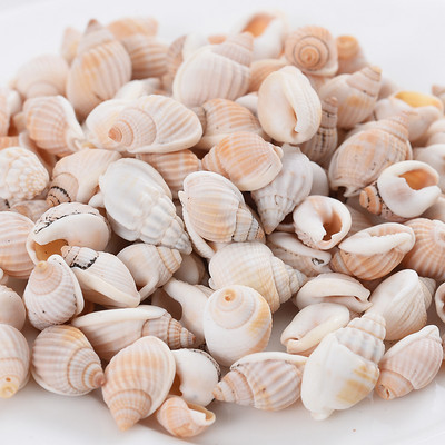 Горещи разпродажби естествени мъниста с форма на малка раковина, мъниста с черупки, дистанционни мъниста за изработка на бижута Направи си сам модни колиета, гривни, аксесоари