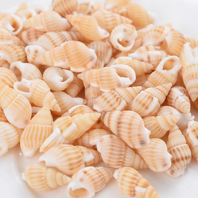 Горещи разпродажби естествени мъниста с форма на малка раковина, мъниста с черупки, дистанционни мъниста за изработка на бижута Направи си сам модни колиета, гривни, аксесоари