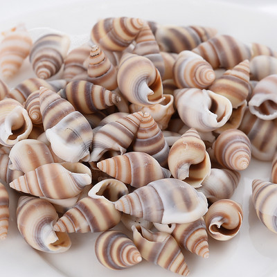 Горещи разпродажби естествени мъниста с форма на малка раковина, мъниста с черупки, дистанционни мъниста за изработка на бижута Направи си сам модни колиета, гривни, аксесоари