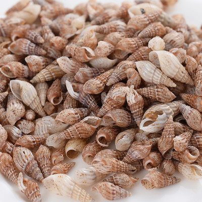 Горещи разпродажби естествени мъниста с форма на малка раковина, мъниста с черупки, дистанционни мъниста за изработка на бижута Направи си сам модни колиета, гривни, аксесоари