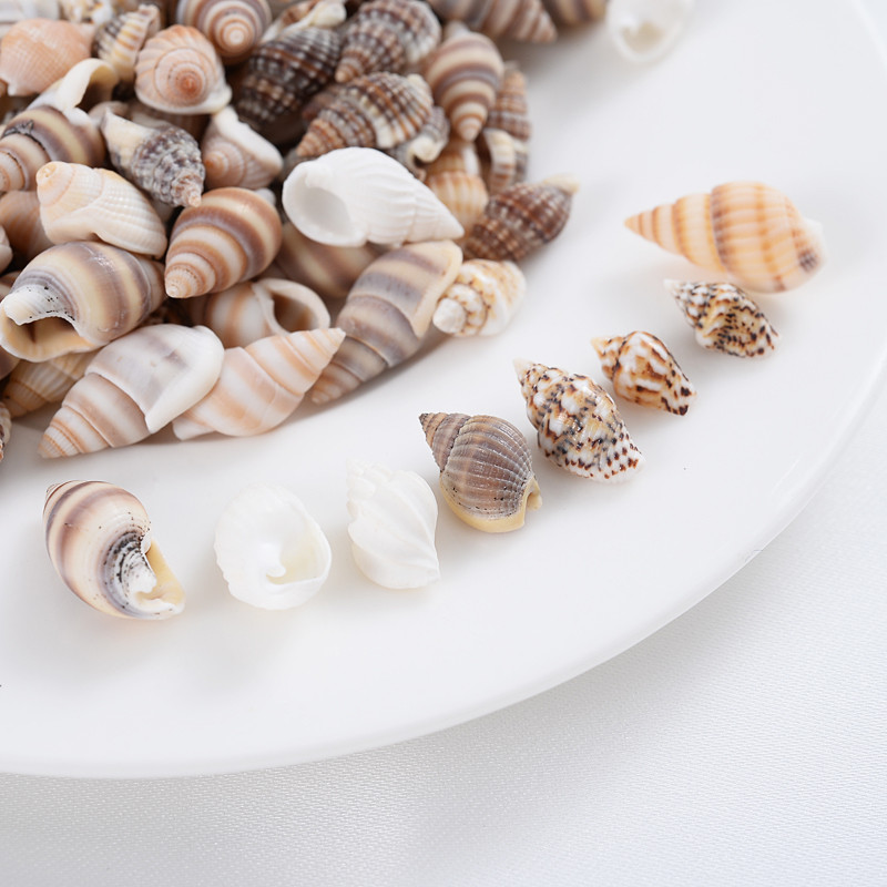 Горещи разпродажби естествени мъниста с форма на малка раковина, мъниста с черупки, дистанционни мъниста за изработка на бижута Направи си сам модни колиета, гривни, аксесоари