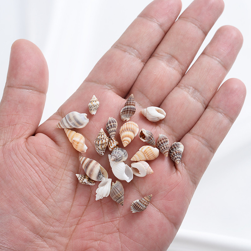 Горещи разпродажби естествени мъниста с форма на малка раковина, мъниста с черупки, дистанционни мъниста за изработка на бижута Направи си сам модни колиета, гривни, аксесоари