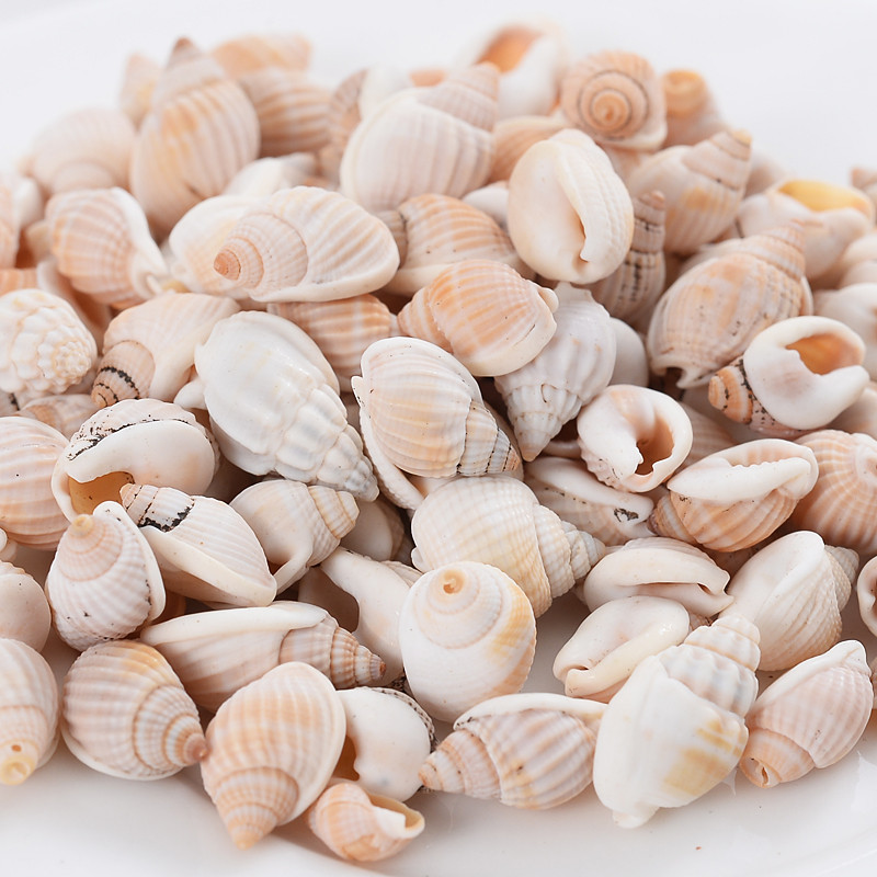 Горещи разпродажби естествени мъниста с форма на малка раковина, мъниста с черупки, дистанционни мъниста за изработка на бижута Направи си сам модни колиета, гривни, аксесоари