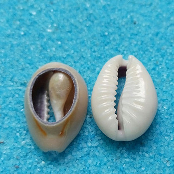 DIY Small Bulk Cut Beach Sea Natural Shell Conch Beads Cowry Cowrie Tribal Jewellery Craft Accessories Τρύπες