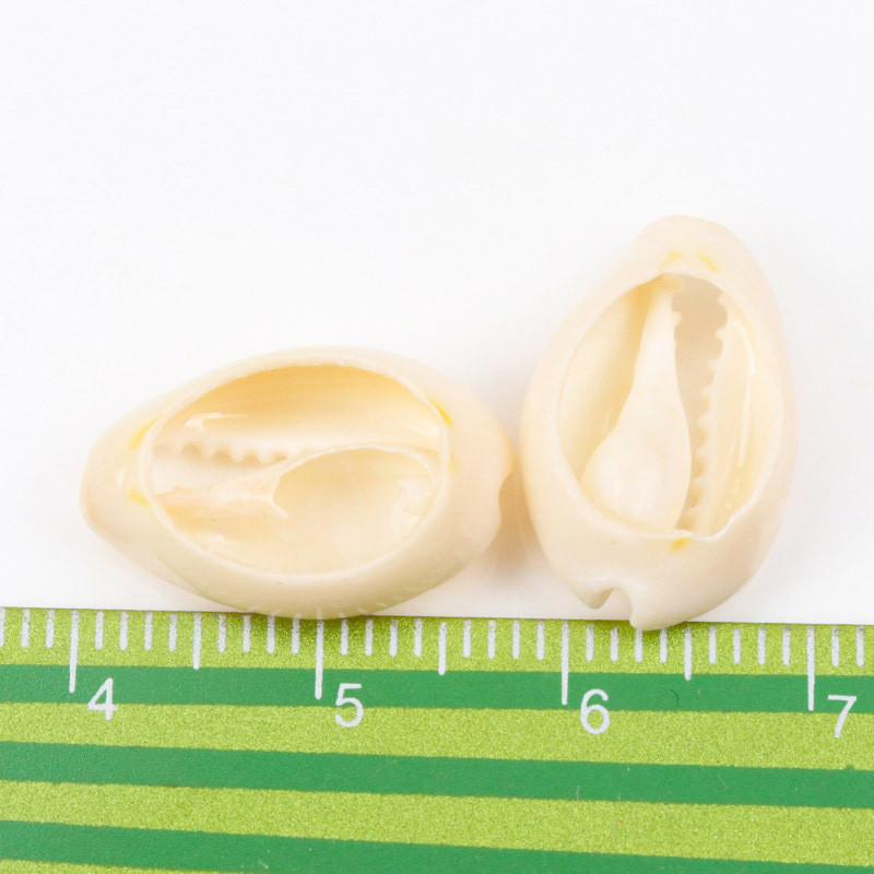 Направи си сам малки насипни изрязани плажни морски мъниста от естествена раковина Каури Каури Племенни бижута Занаятчийски аксесоари Дупки