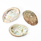 5PC Real Rainbow Abalone Shell Навигационен образец Fish Tank Aquaria Озеленяване Орнаменти Sage Divination Йога Медитация Декор
