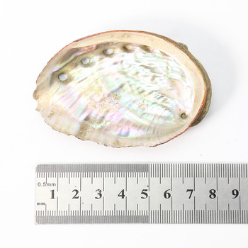 5PC Πραγματικό Rainbow Abalone Shell πλοήγησης Δείγμα Δεξαμενής ψαριών Ενυδρείο Διακοσμήσεις τοπίου Sage Divination Διακόσμηση διαλογισμού γιόγκα