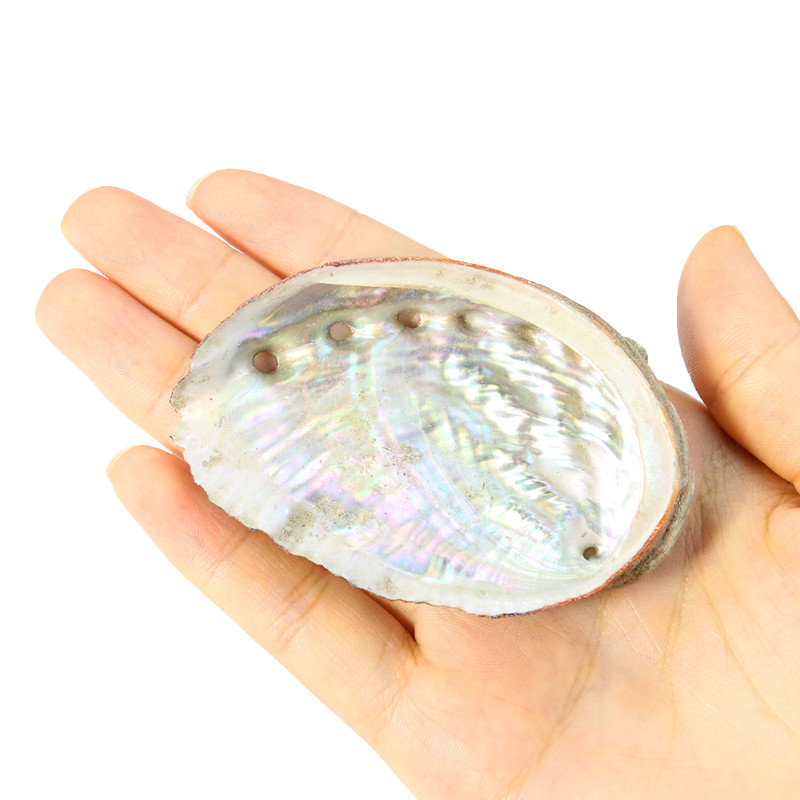 5PC Real Rainbow Abalone Shell Навигационен образец Fish Tank Aquaria Озеленяване Орнаменти Sage Divination Йога Медитация Декор
