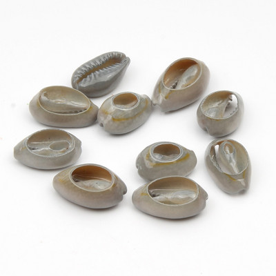 10 бр. Златни вени, изрязани от естествени морски раковини за изработка на бижута Направи си сам, занаяти Декорация на дома Coquillage Shell Beach Decor 10-20 mm