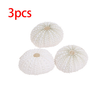 Естествена черупка на морски таралеж Раковина Tillandsia Саксийно растение за аксесоари за декорация на дома Декорация на аквариум Genshin Impact