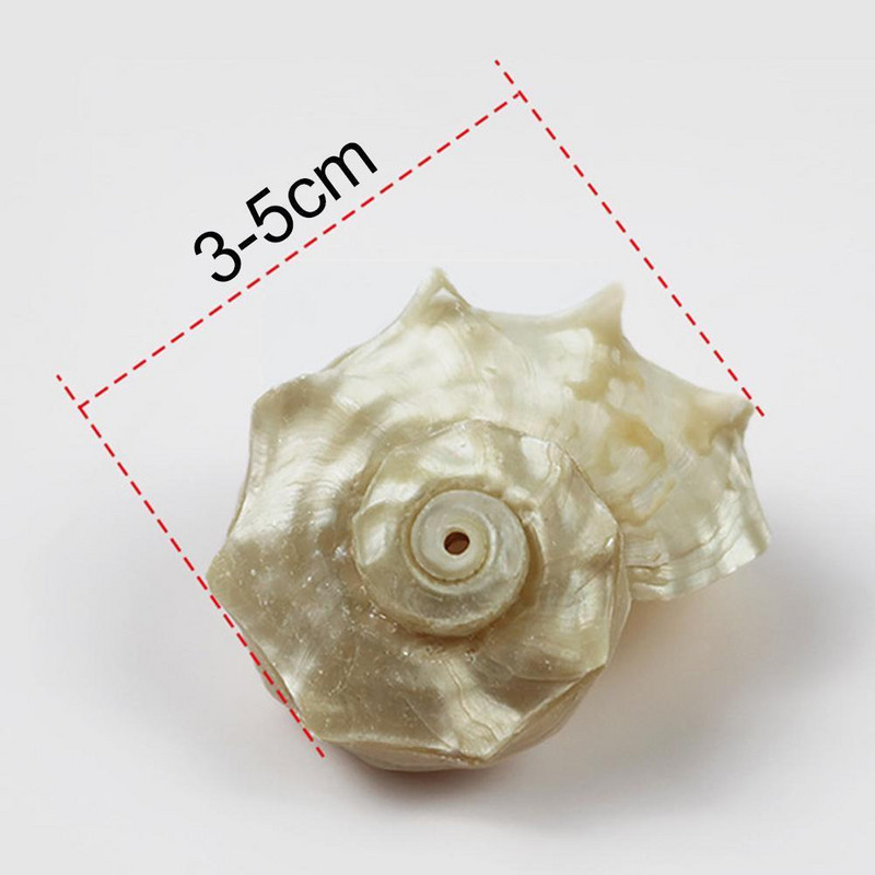 Естествени раковини Големи охлюви Озеленяване на аквариум Средиземноморски черупки Декоративни раковини Морски естествени големи черупки 3-5 см 1 бр.