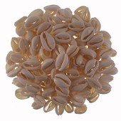 30/50 Естествена морска изрязана раковина Свободни мъниста Декорация на дома Направи си сам Занаятчийски раковини Висулка Аксесоари за бижута 1,2 см/1,6 см