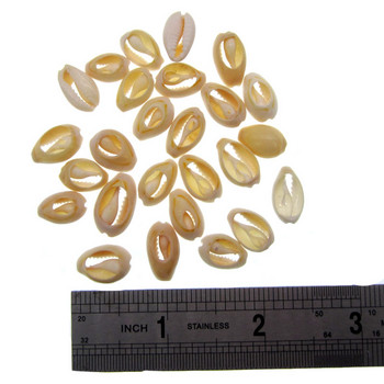 30/50 Natural Sea Cut Shell Loose Beads Διακόσμηση σπιτιού DIY Craft Conch Shell Pendant Craft κοσμήματα αξεσουάρ 1,2cm/1,6cm