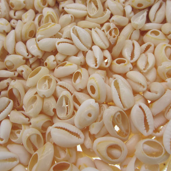 30/50 Natural Sea Cut Shell Loose Beads Διακόσμηση σπιτιού DIY Craft Conch Shell Pendant Craft κοσμήματα αξεσουάρ 1,2cm/1,6cm