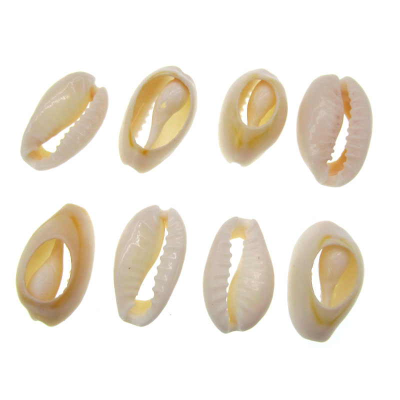 30/50 Естествена морска изрязана раковина Свободни мъниста Декорация на дома Направи си сам Занаятчийски раковини Висулка Аксесоари за бижута 1,2 см/1,6 см