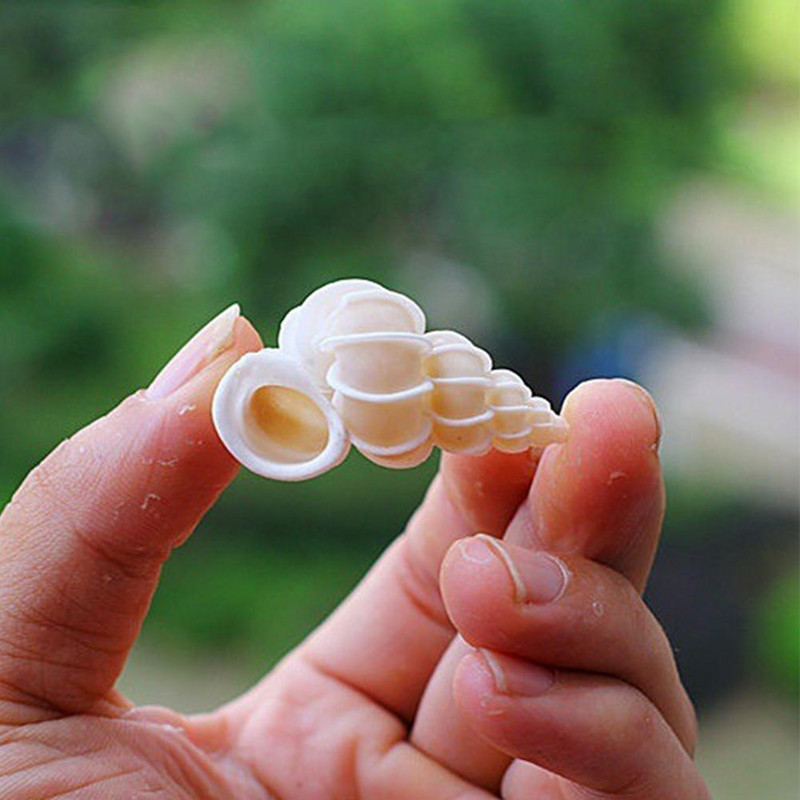 Раковина Раковина Ярко Червена И Красива Раковина Златен Пояс Раковина Естествена Декоративна Раковина Сватба Празнично Парти Декорация Подарък