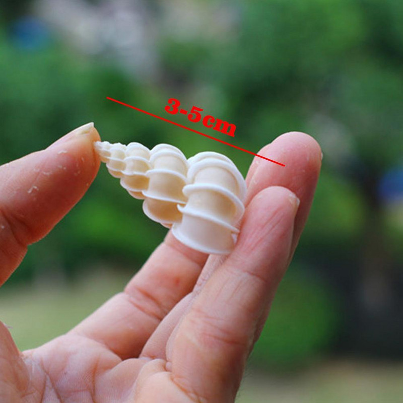 Раковина Раковина Ярко Червена И Красива Раковина Златен Пояс Раковина Естествена Декоративна Раковина Сватба Празнично Парти Декорация Подарък