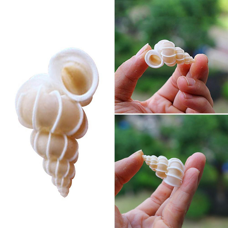 Раковина Раковина Ярко Червена И Красива Раковина Златен Пояс Раковина Естествена Декоративна Раковина Сватба Празнично Парти Декорация Подарък