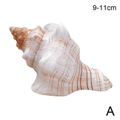 9-17 см кафяво бял естествен голям охлюв Раковина Морски офис рибни орнаменти Декорации Домашна колекция Сувенир M8y1