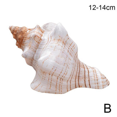 9-17 см кафяво бял естествен голям охлюв Раковина Морски офис рибни орнаменти Декорации Домашна колекция Сувенир M8y1