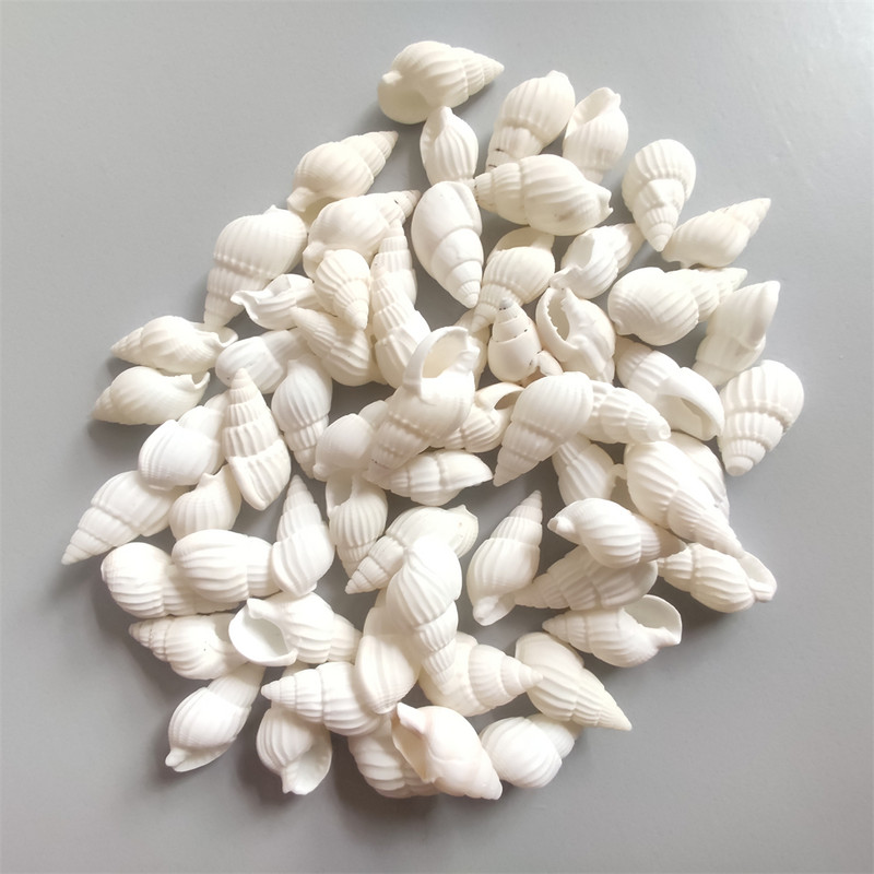 100 бр. Натурални Направи си сам морски раковини Декорация Раковина Декорация на плажа Занаятчийски морски стил Fish Tank Seashells Украса на раковина