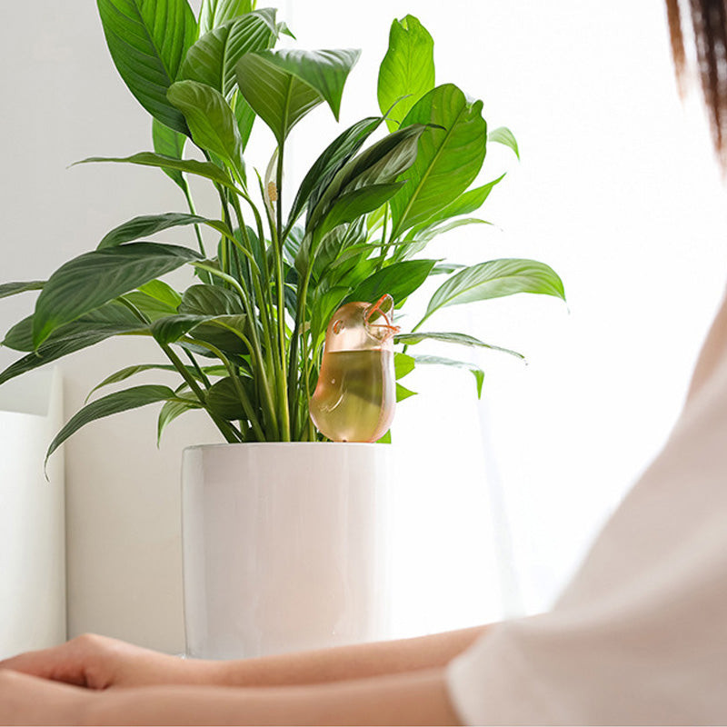 Kertészet Divat Műanyag madáröntöző berendezések Csepegtető öntözés Otthon/Kertészet Növénynedvesség Növényöntöző berendezés