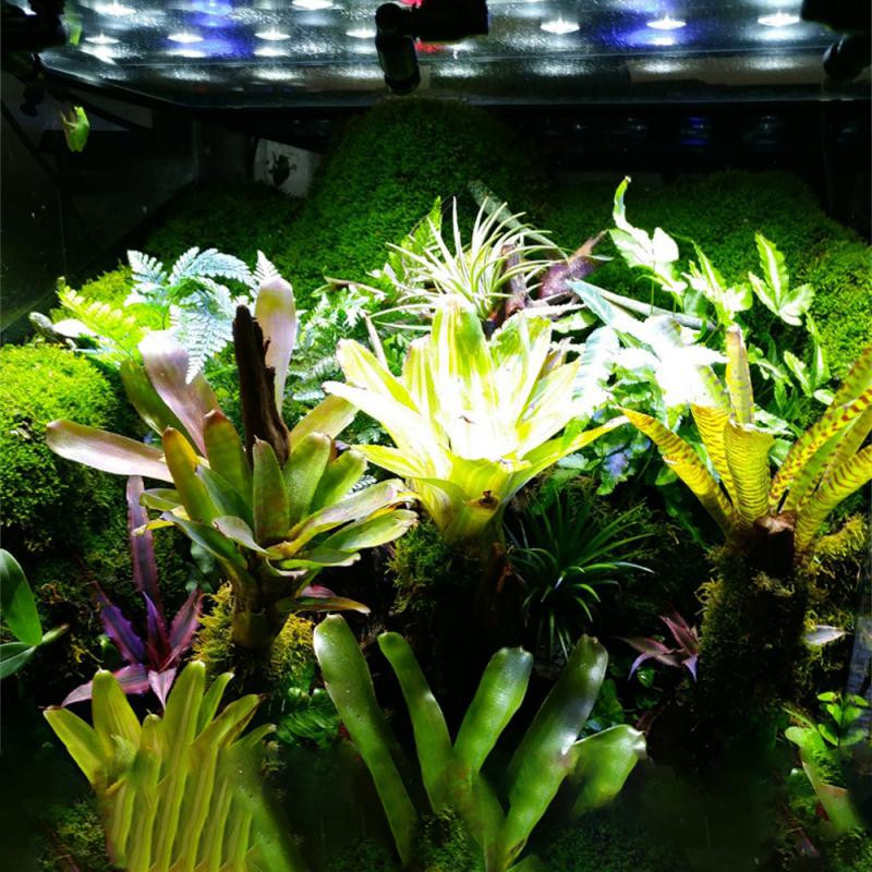 Láthatatlan Stablizáló Spray Atomize Kis forgatható Omnidirectional univerzális fém öntözés Könnyen telepíthető locsoló kisállat