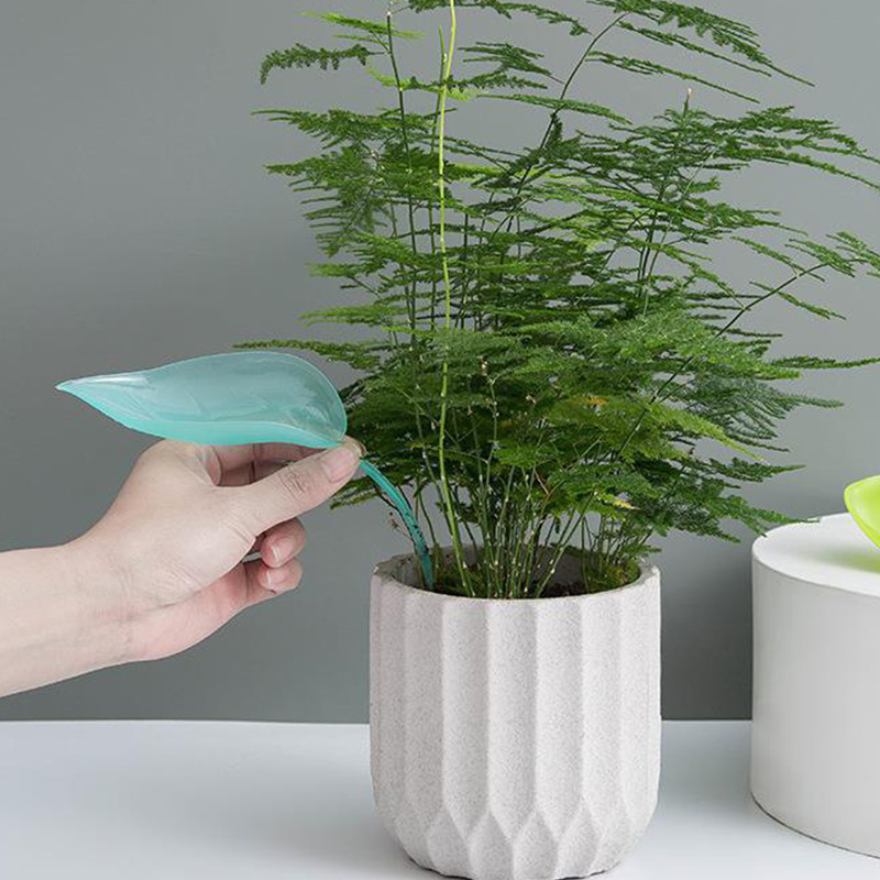 Lapų formos Augalų laistymo įrenginiai Vazoniniai augalai Laistymo smaigaliai Automatinė laistymo sistema Laistymo piltuvėlis Sodo reikmenys