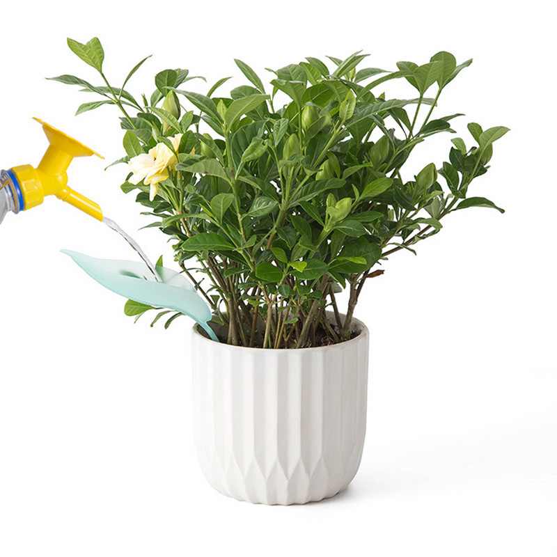 Lapų formos Augalų laistymo įrenginiai Vazoniniai augalai Laistymo smaigaliai Automatinė laistymo sistema Laistymo piltuvėlis Sodo reikmenys