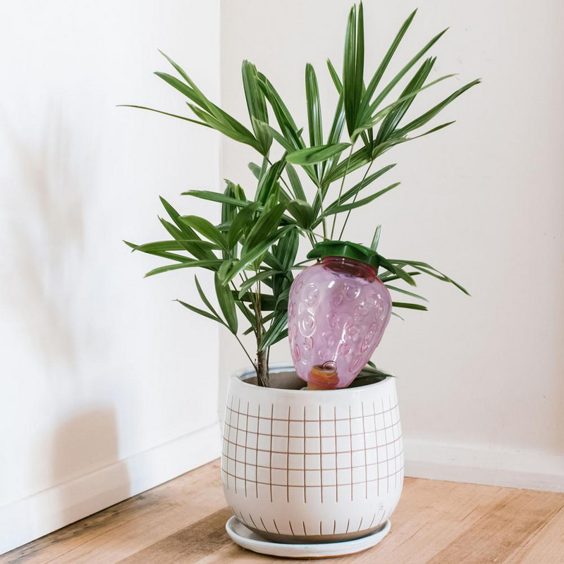 Munkatakarékos Szemet gyönyörködtető lusta emberek Virág zöld cserepes növény öntöző csepegtető Háztartási kellékek