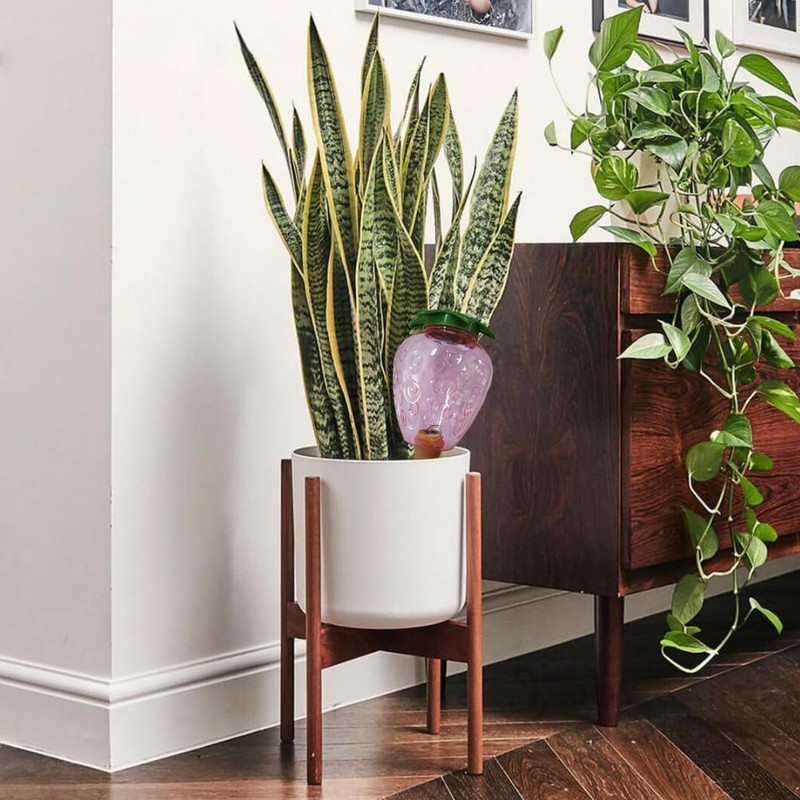 Munkatakarékos Szemet gyönyörködtető lusta emberek Virág zöld cserepes növény öntöző csepegtető Háztartási kellékek