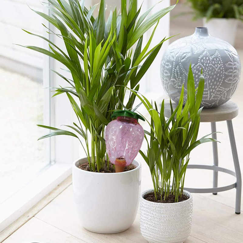 Hasznos zamatos víz kereső nagy kapacitású öntözés műanyag növény csepegtető önöntöző ültető betét